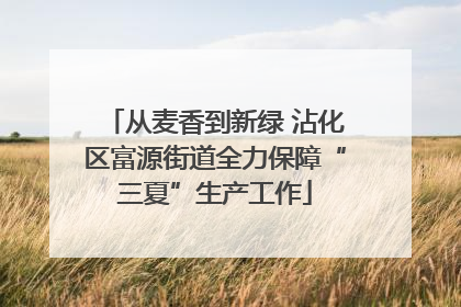 从麦香到新绿 沾化区富源街道全力保障“三夏”生产工作