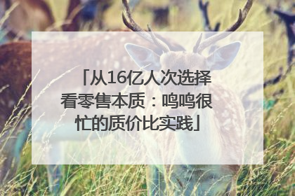 从16亿人次选择看零售本质：鸣鸣很忙的质价比实践