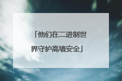 他们在二进制世界守护高墙安全
