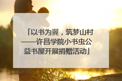 以书为翼，筑梦山村——许昌学院小书虫公益书屋开展捐赠活动