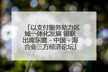 以支付服务助力区域一体化发展 银联出席东盟－中国－海合会三方经济论坛