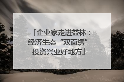 企业家走进益林：经济生态“双面绣” 投资兴业好地方