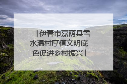 伊春市嘉荫县雪水温村厚植文明底色促进乡村振兴