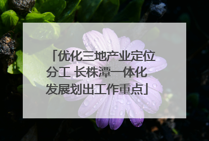 优化三地产业定位分工 长株潭一体化发展划出工作重点