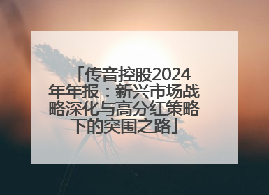 传音控股2024年年报：新兴市场战略深化与高分红策略下的突围之路