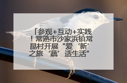 参观+互动+实践！常熟市沙家浜镇常昆村开展“爱‘新’之旅‘蔬’适生活”参观学习活动