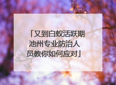 又到白蚁活跃期 池州专业防治人员教你如何应对