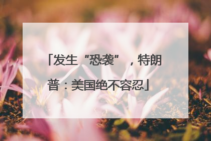 发生“恐袭”，特朗普：美国绝不容忍