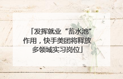 发挥就业“蓄水池”作用，快手美团将释放多领域实习岗位