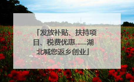 发放补贴、扶持项目、税费优惠……湖北喊您返乡创业