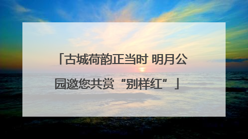 古城荷韵正当时 明月公园邀您共赏“别样红”