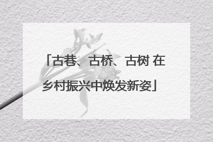 古巷、古桥、古树 在乡村振兴中焕发新姿