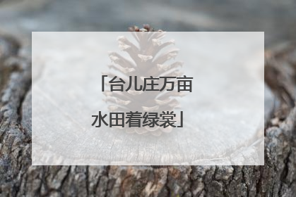 台儿庄万亩水田着绿裳