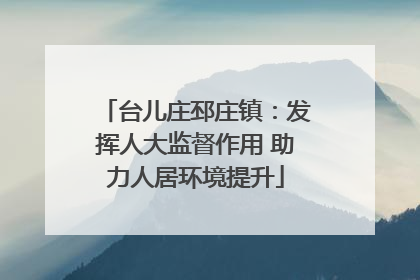 台儿庄邳庄镇：发挥人大监督作用 助力人居环境提升