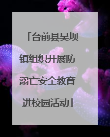 台前县吴坝镇组织开展防溺亡安全教育进校园活动
