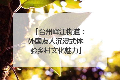台州峰江街道：外国友人沉浸式体验乡村文化魅力