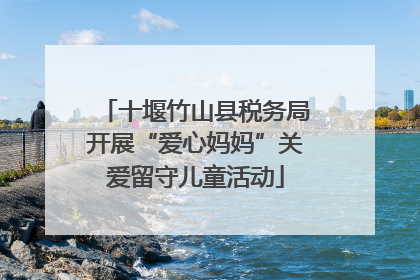 十堰竹山县税务局开展“爱心妈妈”关爱留守儿童活动