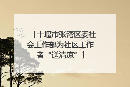 十堰市张湾区委社会工作部为社区工作者“送清凉”