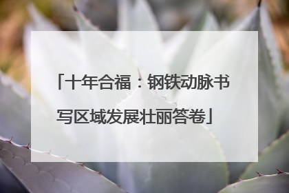 十年合福：钢铁动脉书写区域发展壮丽答卷