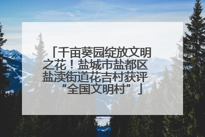 千亩葵园绽放文明之花！盐城市盐都区盐渎街道花吉村获评“全国文明村”