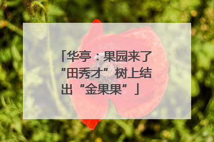 华亭：果园来了“田秀才”树上结出“金果果”