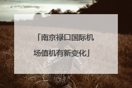 南京禄口国际机场值机有新变化