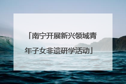 南宁开展新兴领域青年子女非遗研学活动