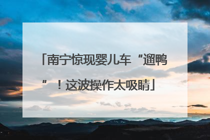南宁惊现婴儿车“遛鸭”！这波操作太吸睛