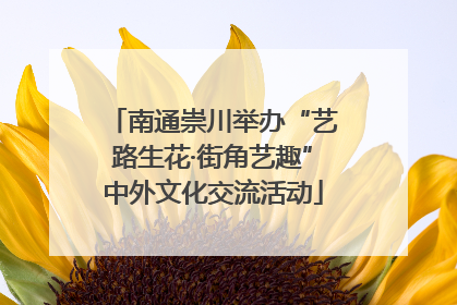 南通崇川举办“艺路生花·街角艺趣”中外文化交流活动