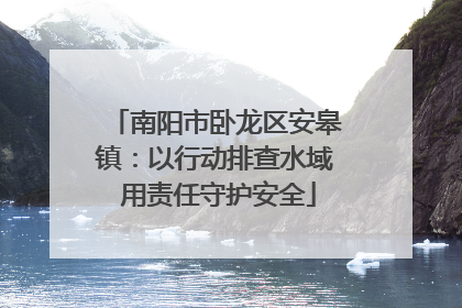 南阳市卧龙区安皋镇：以行动排查水域 用责任守护安全