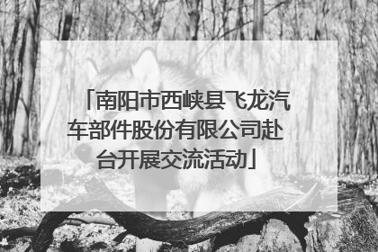 南阳市西峡县飞龙汽车部件股份有限公司赴台开展交流活动