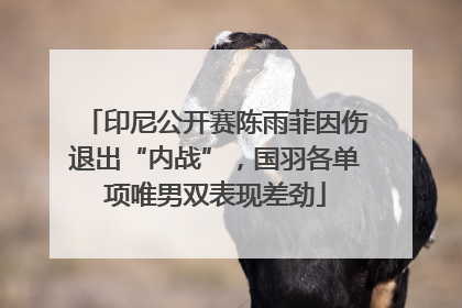 印尼公开赛陈雨菲因伤退出“内战”，国羽各单项唯男双表现差劲