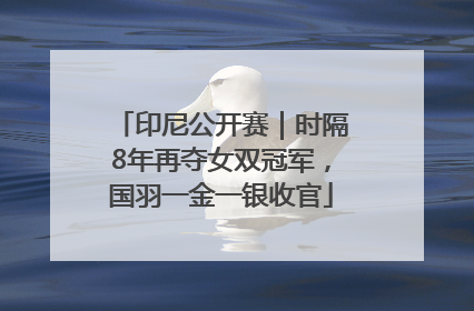 印尼公开赛｜时隔8年再夺女双冠军，国羽一金一银收官