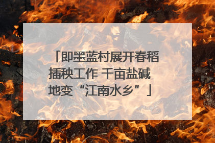 即墨蓝村展开春稻插秧工作 千亩盐碱地变“江南水乡”