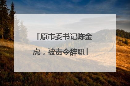 原市委书记陈金虎，被责令辞职