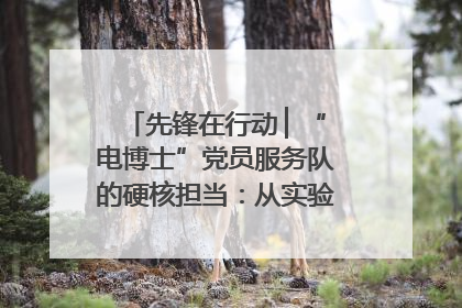 先锋在行动 ▏“电博士”党员服务队的硬核担当：从实验室到抗洪一线