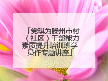 党琪为滕州市村（社区）干部能力素质提升培训班学员作专题讲座