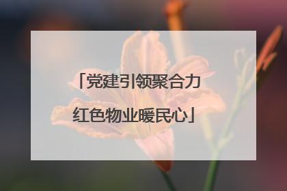 党建引领聚合力 红色物业暖民心