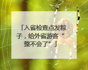 入省检查点发粽子，给外省游客“整不会了”
