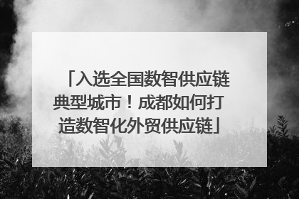 入选全国数智供应链典型城市！成都如何打造数智化外贸供应链