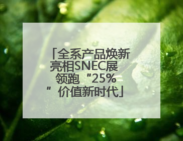 全系产品焕新亮相SNEC展 领跑“25%”价值新时代