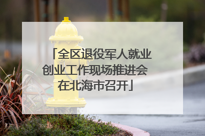 全区退役军人就业创业工作现场推进会在北海市召开