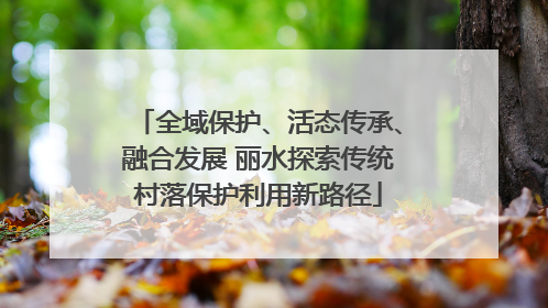 全域保护、活态传承、融合发展 丽水探索传统村落保护利用新路径