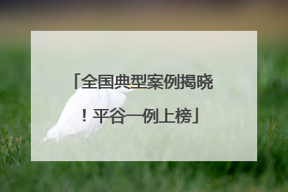 全国典型案例揭晓！平谷一例上榜