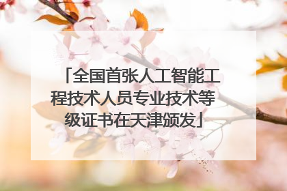 全国首张人工智能工程技术人员专业技术等级证书在天津颁发