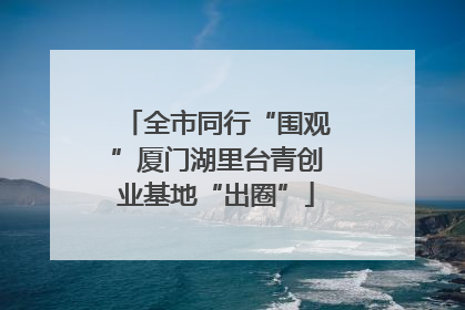 全市同行“围观”厦门湖里台青创业基地“出圈”