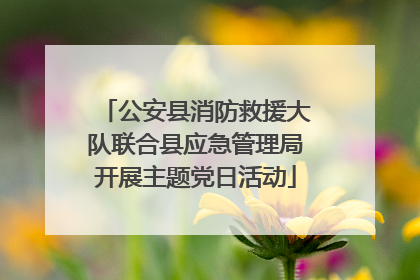 公安县消防救援大队联合县应急管理局开展主题党日活动