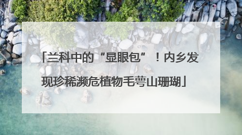 兰科中的“显眼包”！内乡发现珍稀濒危植物毛萼山珊瑚