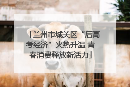 兰州市城关区“后高考经济”火热升温 青春消费释放新活力