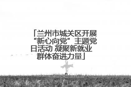 兰州市城关区开展“新心向党”主题党日活动 凝聚新就业群体奋进力量